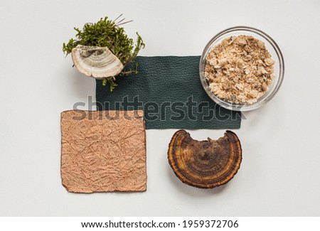 Vegan leather sample, leather from mushroom mycelium, a mushroom and sawdust top view, eco friendly concept alternative bio leather Royalty-Free Stock Photo #1959372706