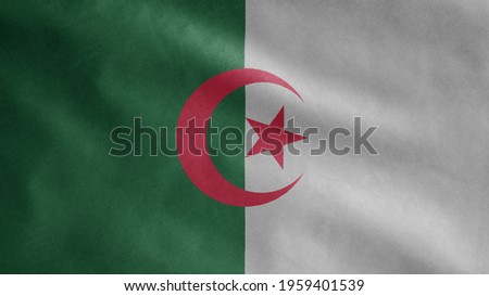 Algerian flag waving in the wind. Close up of Argelia banner blowing, soft and smooth silk. Cloth fabric texture ensign background.