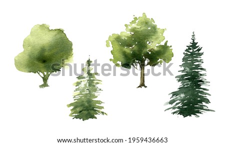 Watercolor green tree colection. Painted pine plant. Forest illustration. Summer or spring design