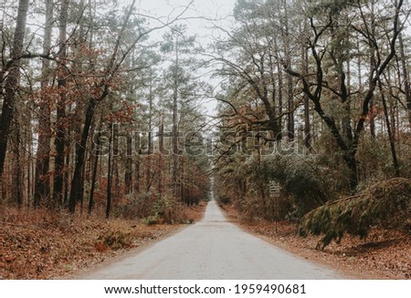 on the road at Davy Crockett National Forest Royalty-Free Stock Photo #1959490681