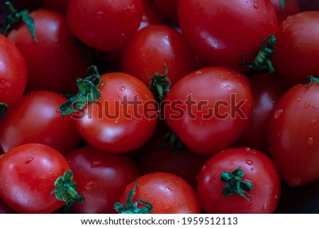 Cocktail, cherry, grape small tomatoes known as ciliegini, pachino. tomatoes background