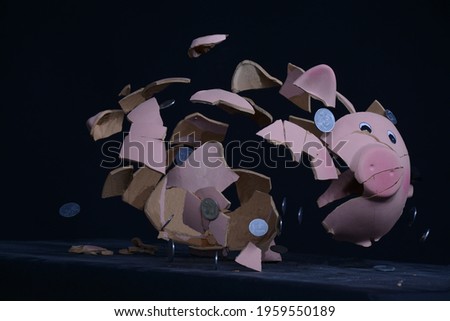 piggy bank is most important thing for saving . And saving is a art just because piggy bank caters to our small needs..