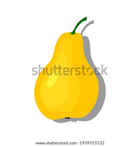 pear drawing on white background, vector illustration