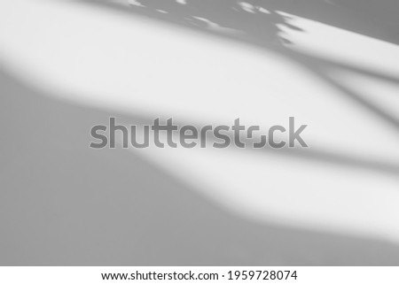 Window shadow abstract blur background with light reflection and grey shadow from window on white wall, dark gray and sunshine diagonal geometric effect overlay