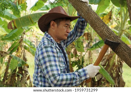 Asian male gardener wear hat is holding axe to cut tree in his garden. Concept woodcutter deforestation. Working in garden. Hard working. Axe is Thai traditional tool  for carpenter 