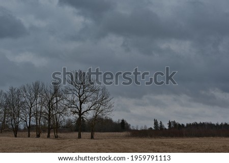 A landscape with a low cloudy sky, where picturesque clouds of all kinds of gray shades sweep over the spring meadow and trees with shrubs, leaving a drizzle of fine rain.