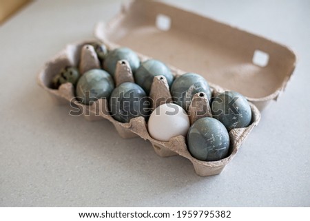 Beautiful colorful easter eggs on white background