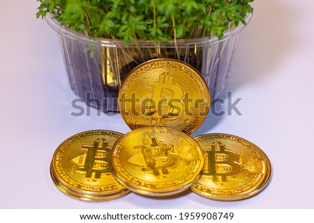 Bitcoin with micro-greens placed on the table.