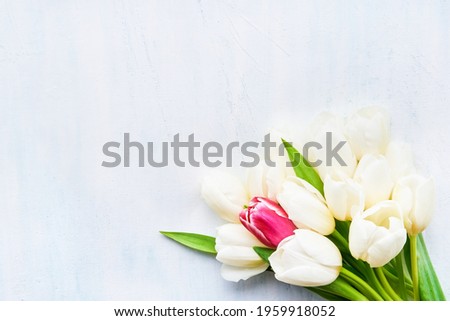 Bouquet of white tulips on a light background. Mothers day, Valentines Day, Birthday celebration concept. Top view, copy space for text.