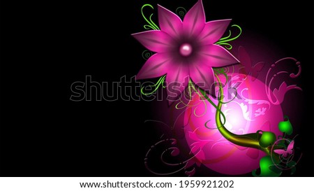 beautiful sceen of flower with black background