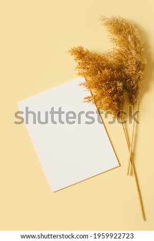 Pampas grass mock up and template minimalists composition with white poster on yellow background, top view, copy space, flat lay, vertical