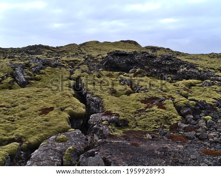 Beautiful landscape with deep rocky fissure on volcanic lava field covered by green moss and lichens near Grindavik, Reykjanes peninsula, Iceland on cloudy winter day. Royalty-Free Stock Photo #1959928993