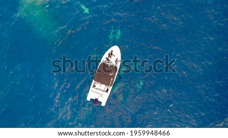 Aerial view of fishing boat surrounded by grey nurse sharks. Drone picture of Indian Ocean with sharks swimming around. 