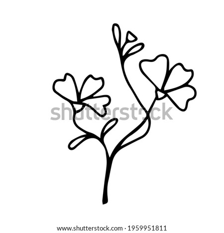 Vector hand drawn flower with leaves on white background isolated. Doodle illustration of a spring and summer flower