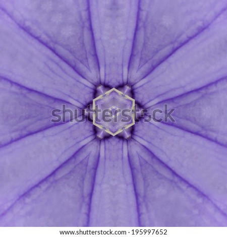 Purple Concentric Flower Center Close-up. Mandala Kaleidoscopic design