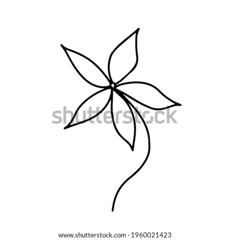 Hand drawn summer flower with long petals on a white background without leaves. 