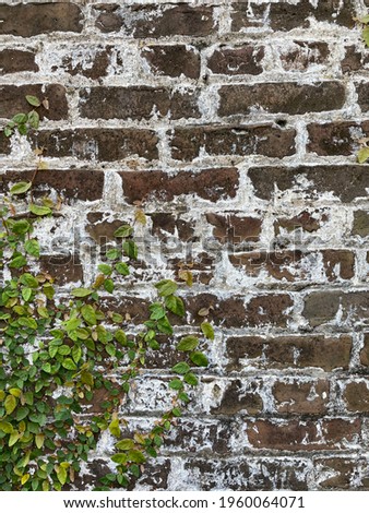 Old brick wall rustic texture