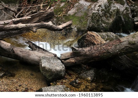 Long time exposure shot of a very mossy and stony stream in a dark forest, water running between stones and old dead branches