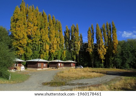 Nice autumn from Argentina Patagaonia El calafate town