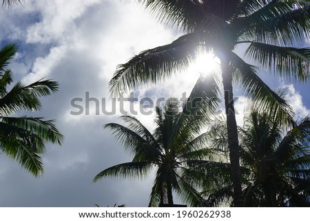Landscape photos taken in Hawaii.