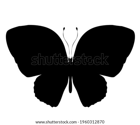 Butterfly black vector icon, isolated on white