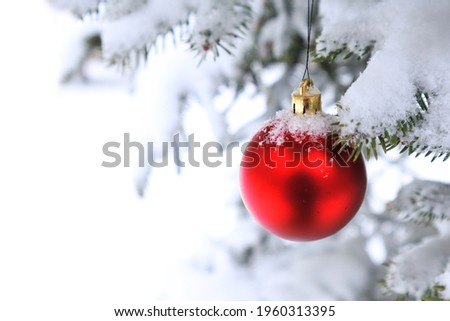 Red Christmas ball hanging on spruce branch in snowy weather outdoor. Merry Christmas!
