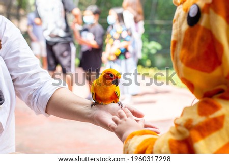 A cute Asian girl wearing a giraffe costume and her mother in a new normal state with a face mask, Go on a trip in the zoo, feed the Parrot in the large cage.