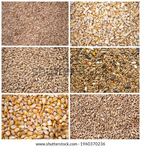 composite picture of cereals for animal food