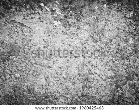 Abstract background. Black and white texture. Image with grayscale effects with various shades.