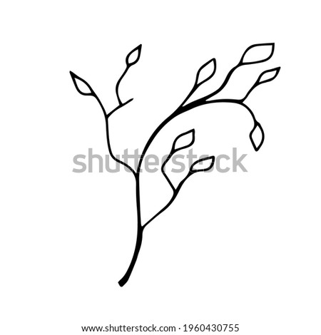 Hand-drawn branch with leaves blooming. Vector illustration of a part of a tree