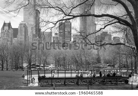 Scenic view of Central Park, Manhattan