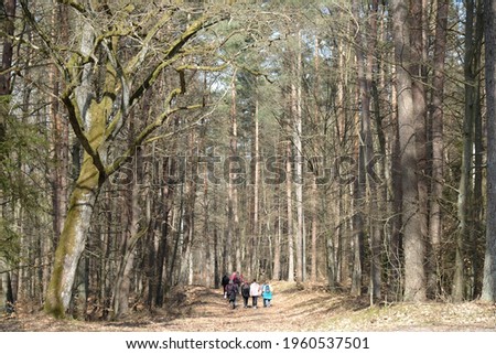 Group of walking people on forest road between high trees 
