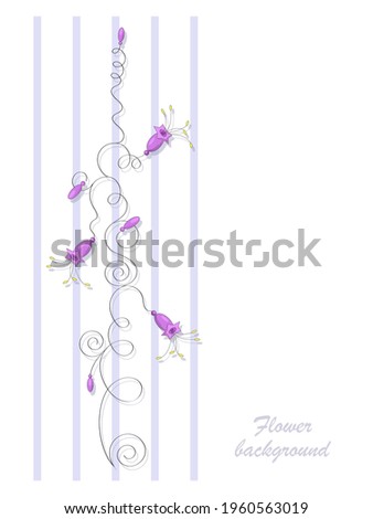Purple bells. Vector flowers bells on the stem. Bells. Bouquet of wild flowers. Flower design. Design poster, banner, greeting card. Space for text, stylized flowers and stripes. Vector illustration