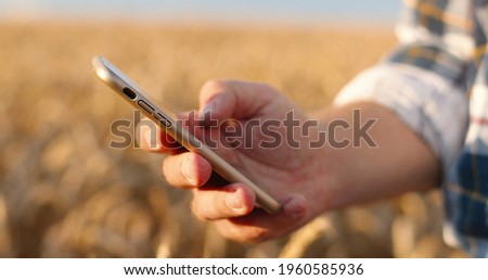 Close up shot of Caucasian man hand typing and tapping on smartphone while standing in field outdoors. Male fingers texting on cellphone in countryside on sunny day. Technology concept Royalty-Free Stock Photo #1960585936