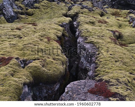 Closeup view of deep fissure on rocky volcanic lava field covered by green moss near Grindavik, Reykjanes peninsula, Iceland on cloudy winter day. Royalty-Free Stock Photo #1960602778