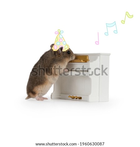 hamster playing a piano standing next to it with a nice cute hamster body with a party hat and music notes.