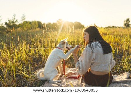Stylish woman training her white dog on blanket in warm sunny light in summer meadow. Summer vacation and picnic with pet. Young boho woman playing with swiss shepherd puppy in sunset
