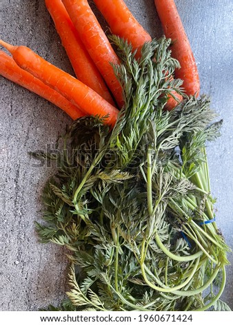Organic bio carrots with leaves on the kitchen countertop