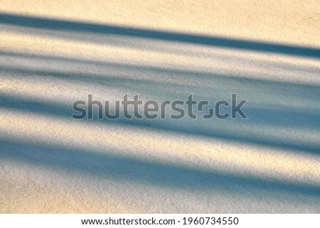 Abstract shadow lines on winter snow background. Pure snow lit by sunlight. Landscape for postcard, poster, banner.