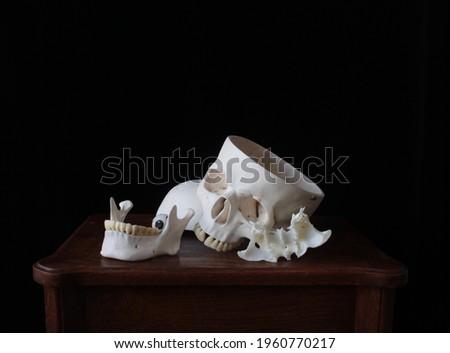 A closeup picture of a skull, a bone and eyeballs on a wooden table in front of black background.