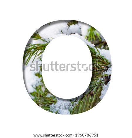 Winter font. Letter O, cut out of paper against the background of winter fir branches with snow. A set of volumetric natural fonts, suitable for Christmas signatures.