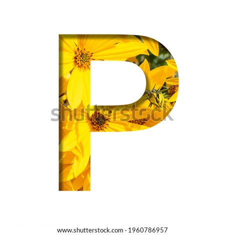 Autumn flowers font. Letter P cut from paper on a background of bright yellow autumn flowers. A set of volumetric natural fonts.