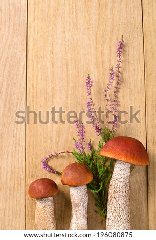 group of orange-cap boletus on wooden board