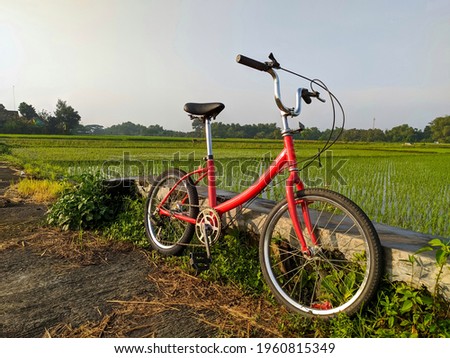 Vintage mini bike in orange color against rice field background with bright blue sky