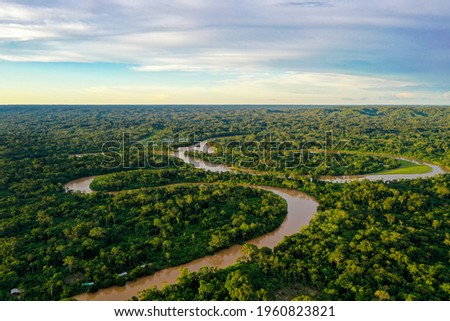 Aerial view over a tropical forest with a river in the amazon rainforest Royalty-Free Stock Photo #1960823821