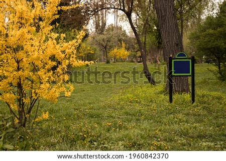 writing board in the park