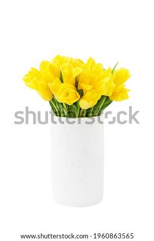 Yellow tulips bouquet in clay white vase isolated over white background with clipping path