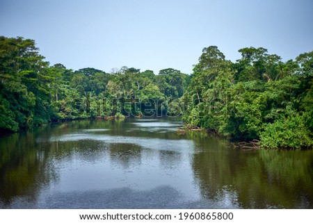 River in the tropical rainforest of central Africa Royalty-Free Stock Photo #1960865800