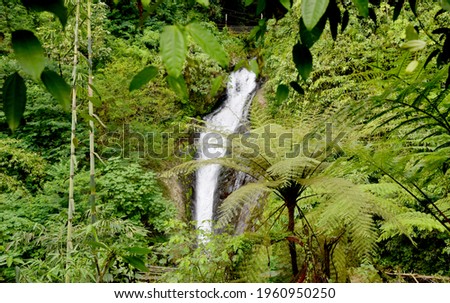 Gitgit Campuhan waterfall in singaraja regency of bali