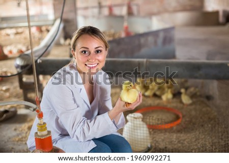 Smiling young female veterinarian in white coat holding little duckling in hands on poultry farm.